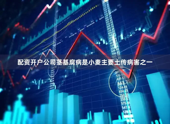 配资开户公司茎基腐病是小麦主要土传病害之一