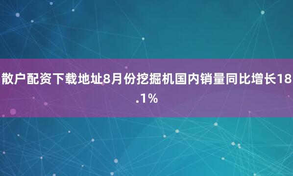 散户配资下载地址8月份挖掘机国内销量同比增长18.1%