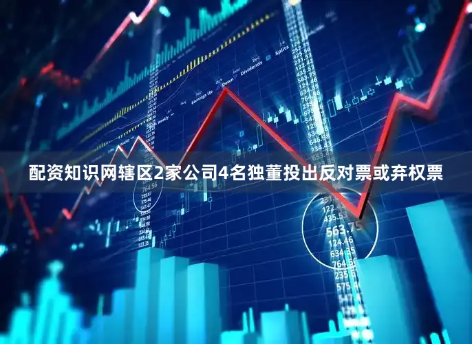 配资知识网辖区2家公司4名独董投出反对票或弃权票